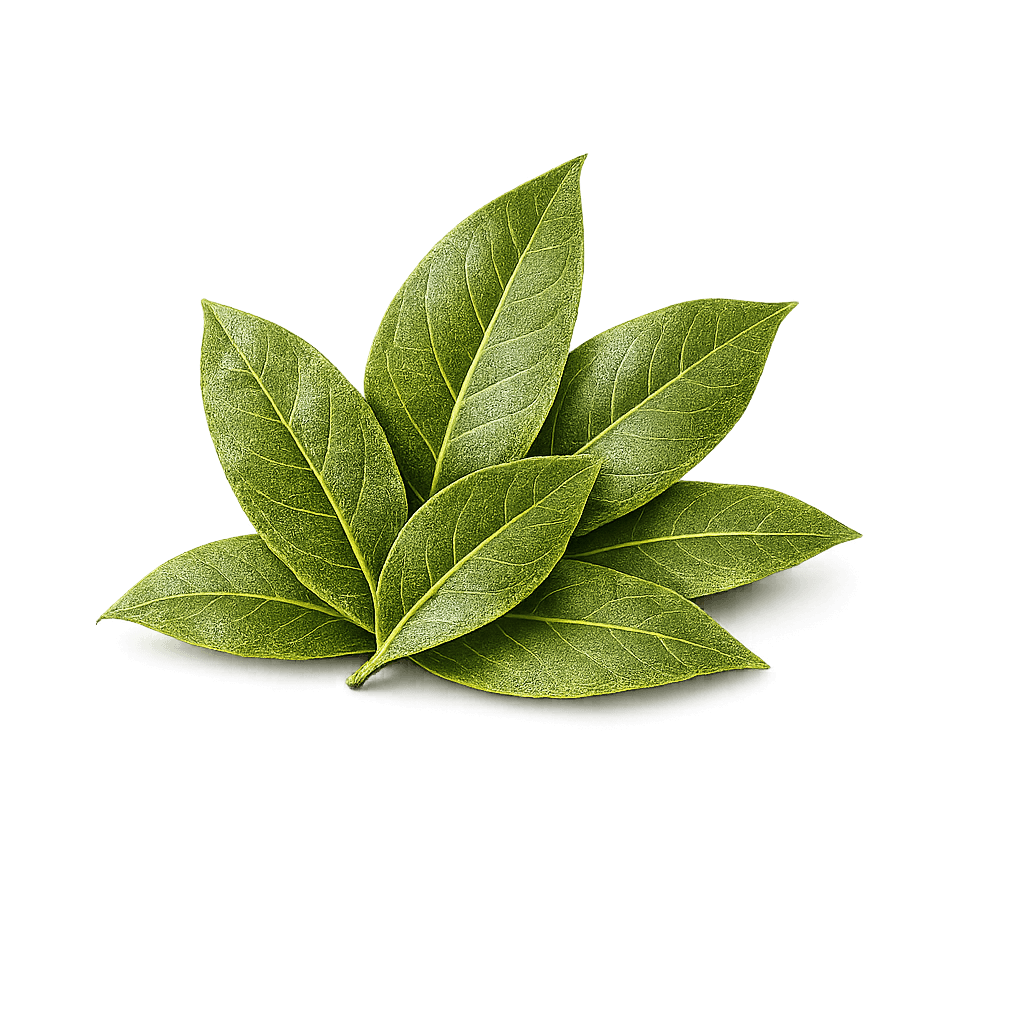 Lorbeerblätter
